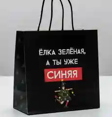 Пакет подарочный, праздничный  22*22*11 см