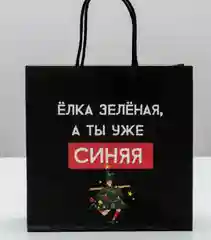 Пакет подарочный, праздничный  22*22*11 см