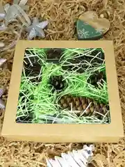 Салатовый подарочная коробка, бумажный наполнитель