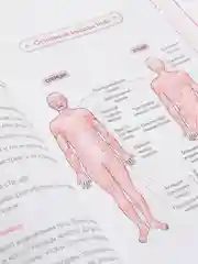 Японская система оздоровления. Метод Фукуцудзи