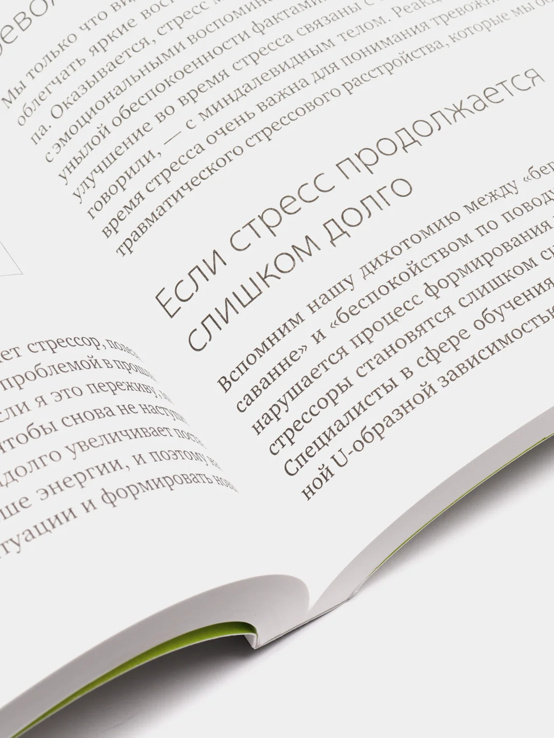 Почему у зебр не бывает инфаркта. Психология стресса