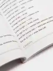 Французский язык с нуля. Интенсивный упрощенный курс + Звукозапись всех уроков