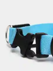 Синий светодиодный ошейник для кошек и собак, из нейлона, работа от батареи, USB зарядка