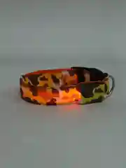 Желтый светодиодный ошейник из нейлона для кошек и собак, светящийся в темноте нейлоновый ошейник