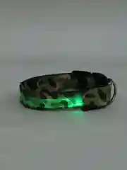 Зеленый светодиодный ошейник из нейлона для кошек и собак, светящийся в темноте нейлоновый ошейник