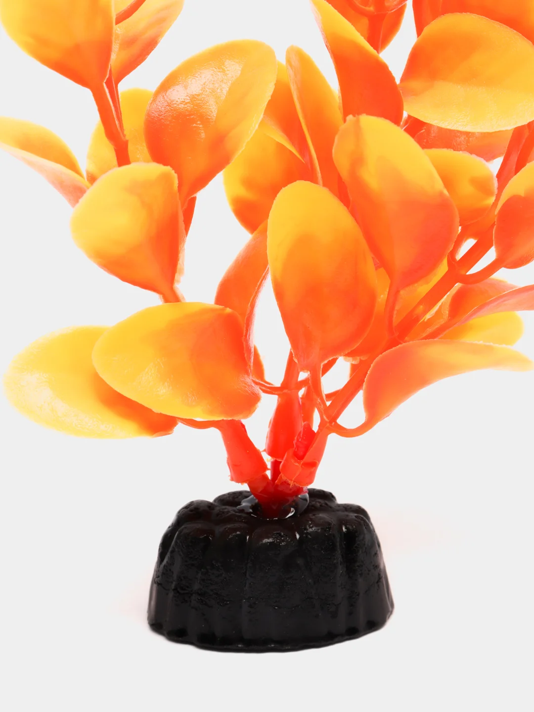 Растение для аквариума Plant 011 Людвигия оранжевая, высота 10 см