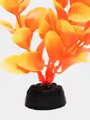 Растение для аквариума Plant 011 Людвигия оранжевая, высота 10 см