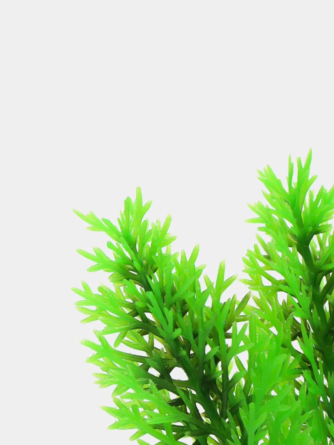 Растение для аквариума Plant 015, роголистник зелёный, высота 10 см