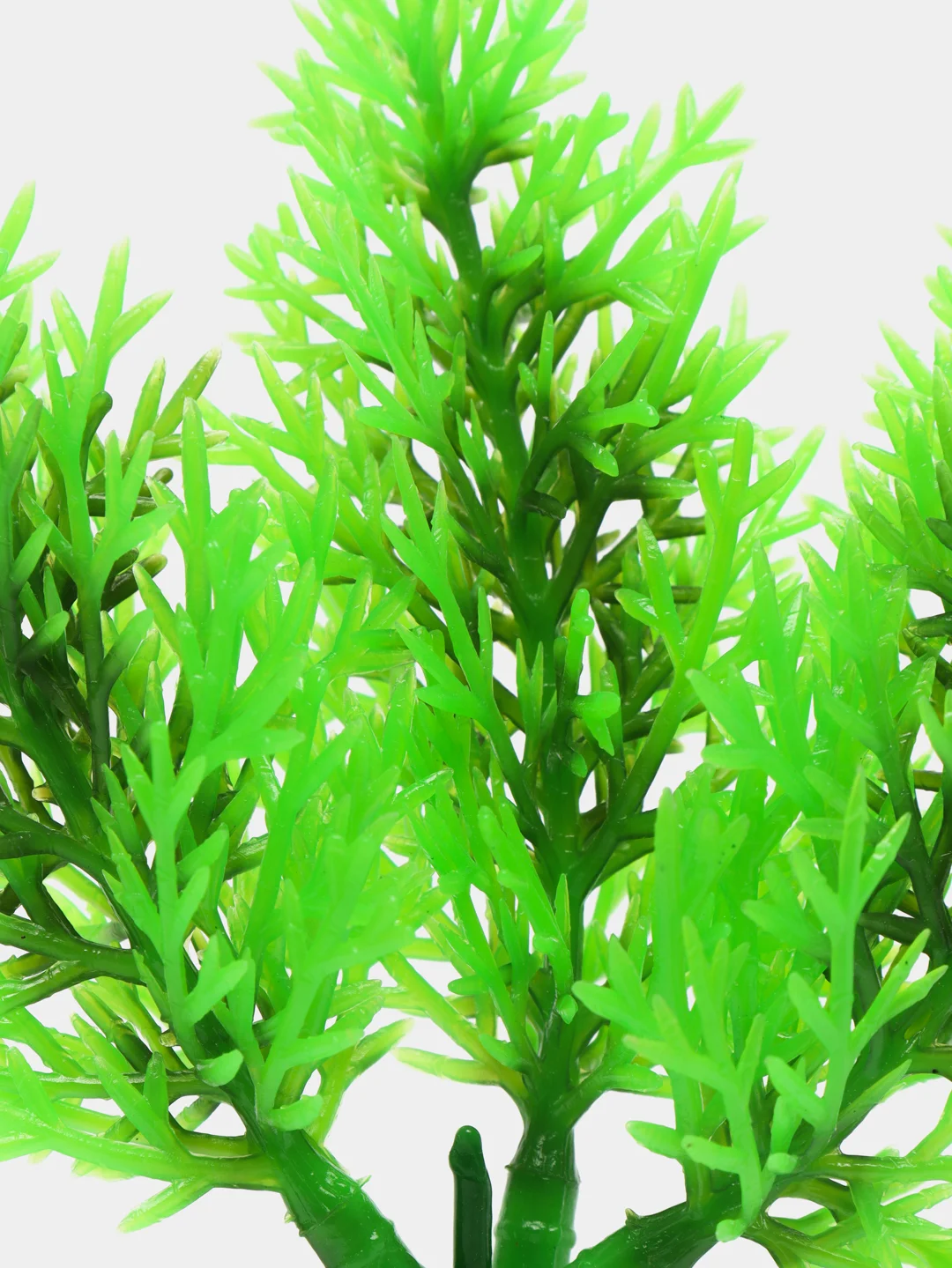 Растение для аквариума Plant 015, роголистник зелёный, высота 10 см