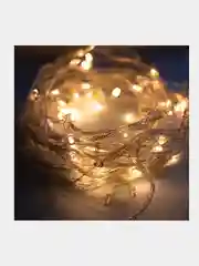 Гирлянда светодиодная, 10 метров, 100 Led, 220В, 8 режимов