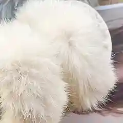 Домашние тапочки с мехом