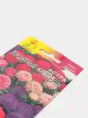 Астра Бордюрные красавцы (семена,цветы)