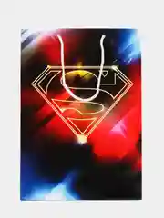 Superman. Пакет подарочный большой-2, 220*310*100 мм