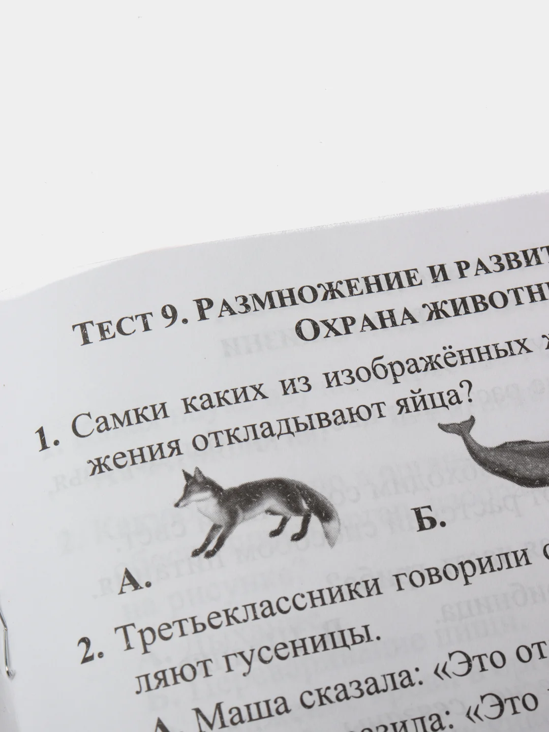 Тесты. Окружающий мир. 3 класс: Природа и человек. Прописи