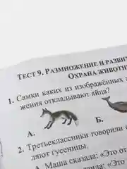 Тесты. Окружающий мир. 3 класс: Природа и человек. Прописи