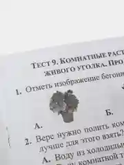 Тесты. Окружающий мир. 2 класс: Природа и рукотворный мир. Прописи