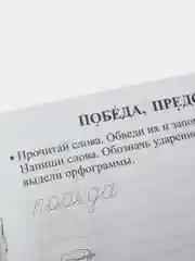 Орфографические прописи. Задания и упражнения: 4 класс