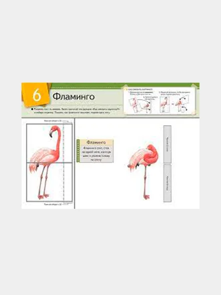 KUMON. Оживи картинку! Животные. От 4 лет