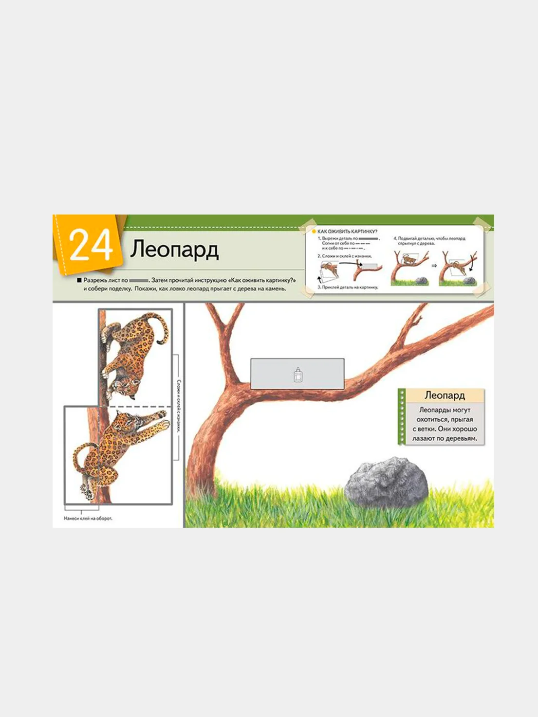 KUMON. Оживи картинку! Животные. От 4 лет