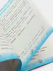 Тренажёр по русскому языку. 1 класс (У325186)