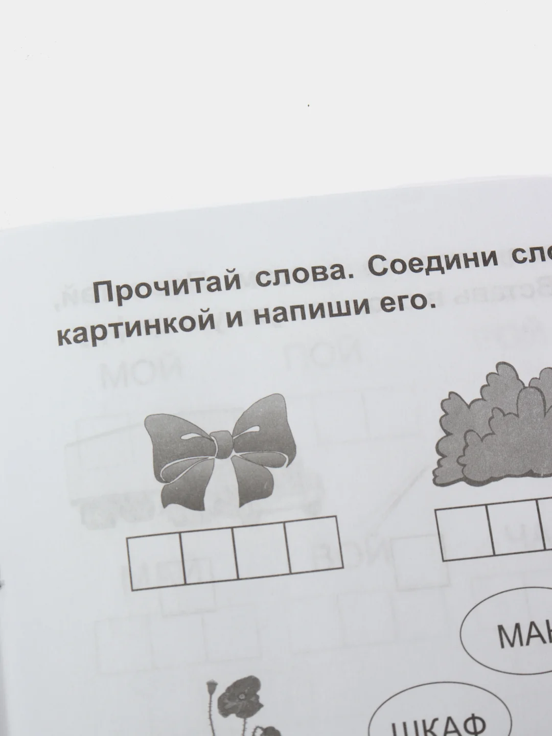 Прописи. Пишу, читаю, в слова играю, предложения составляю: 5-7 лет