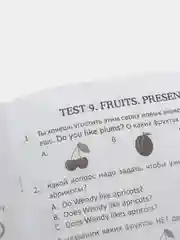 Тесты. Английский язык. 2 класс. (2 часть). Прописи