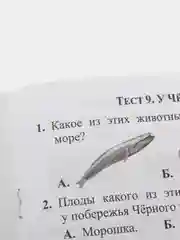 Тесты. Окружающий мир. 4 класс: Природа России. Прописи
