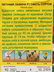 Петуния "Лавина F1", Смесь сортов