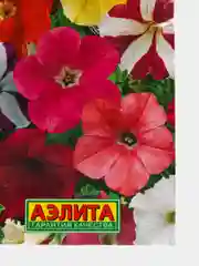 Петуния "Лавина F1", Смесь сортов