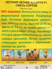 Петуния "Летнее ассорти F1" смесь сортов