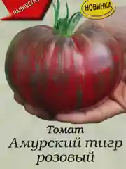 Томат "Амурский тигр розовый"