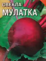 Семена "Свекла Мулатка", 2 г