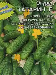 Огурец "Татарин F1"