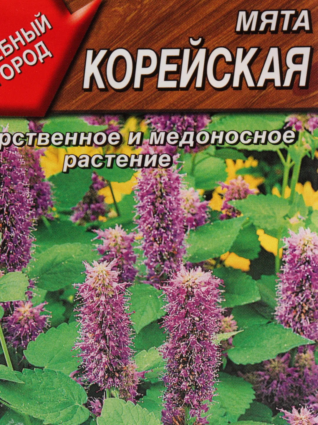 Лекарственное и медоносное растение "Мята Корейская"