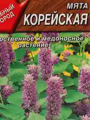 Лекарственное и медоносное растение "Мята Корейская"