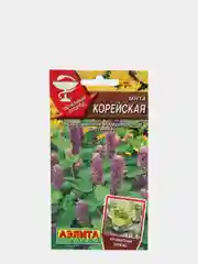 Лекарственное и медоносное растение "Мята Корейская"