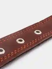 Карамельный ошейник для собак, из натуральной кожи и брезента, двойной