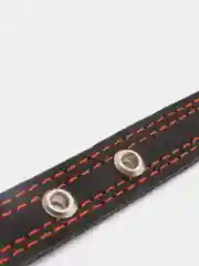 Черный ошейник для собак из натуральной кожи с ватином