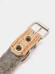 Бежевый ошейник для собак из натуральной кожи с ватином