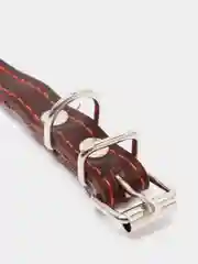 Коричневый ошейник для собак из натуральной кожи с ватином