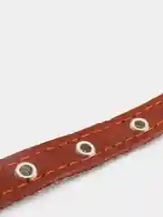 Карамельный ошейник для собак из натуральной кожи с ватином