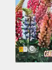 Семена цветов Люпин "Смесь Раселя", 0,4 г