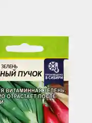 Семена Лук на зелень "Красный пучок", 0,5 г