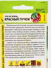 Семена Лук на зелень "Красный пучок", 0,5 г