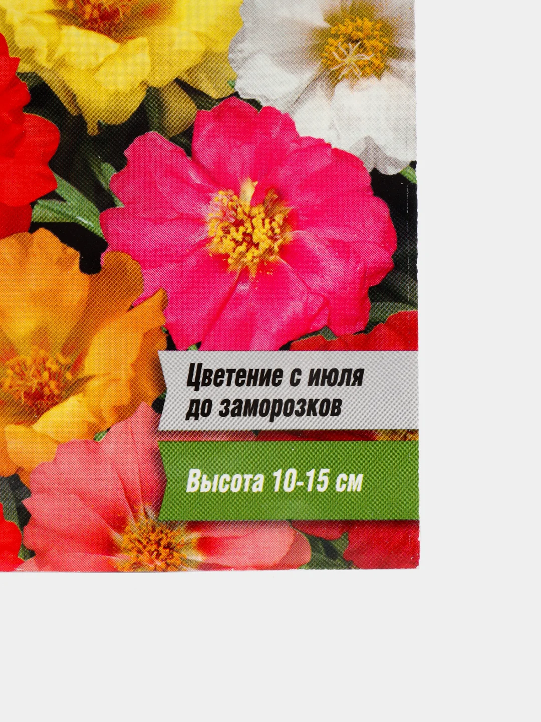 Семена цветов Портулак Махровая смесь, О, 0,05 г (5464142)