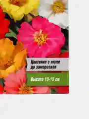 Семена цветов Портулак Махровая смесь, О, 0,05 г (5464142)