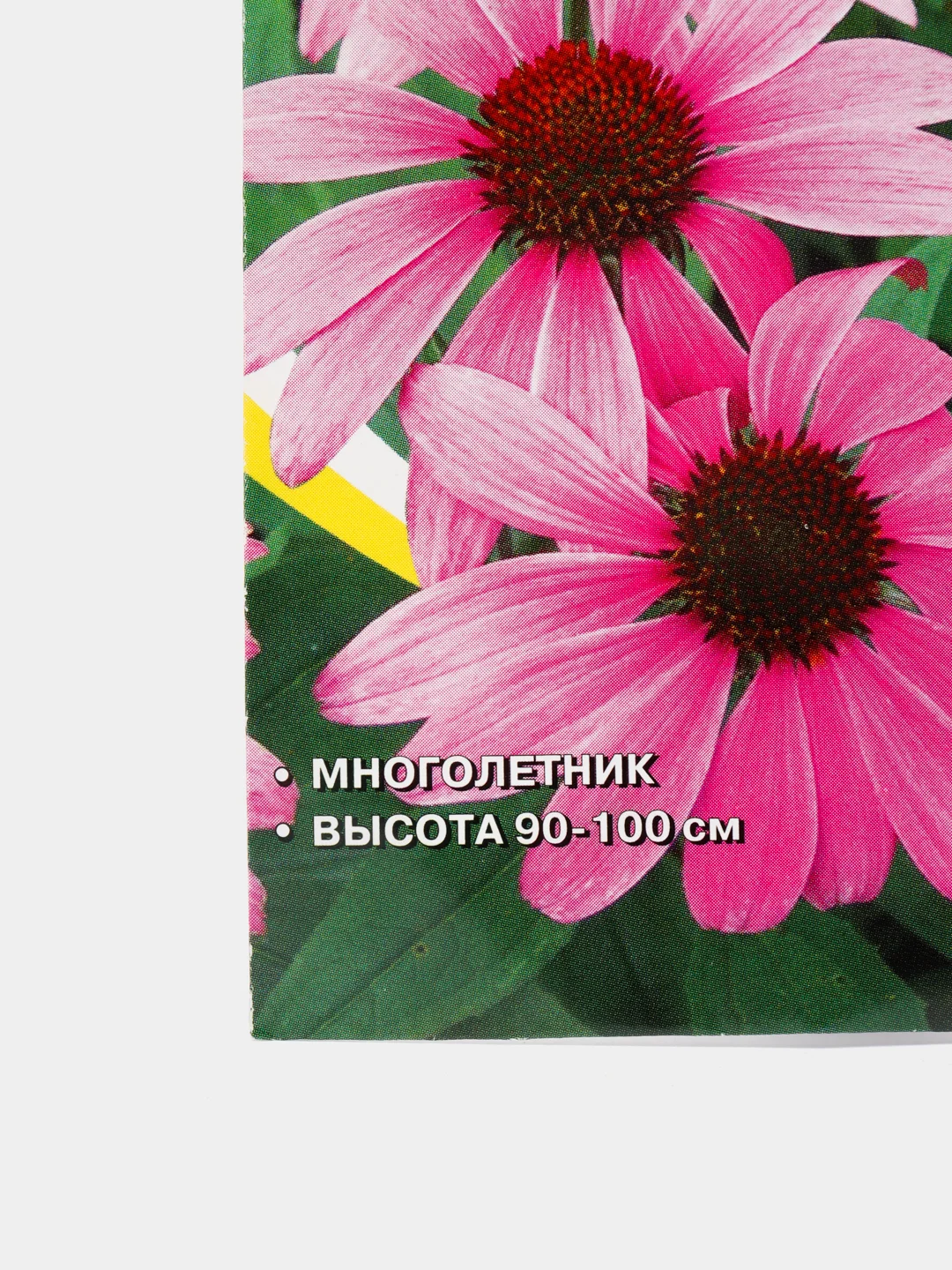 Семена цветов Эхинацея "Пурпурная розовая", многолетник, 0,1 г