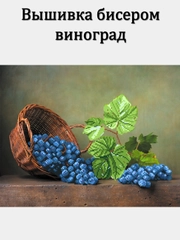 Рисунок на шелке для вышивания бисером "Виноградная лоза"