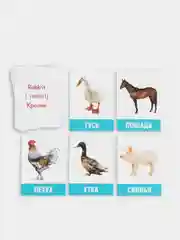 Обучающие карточки "Изучаем английский ", разные темы