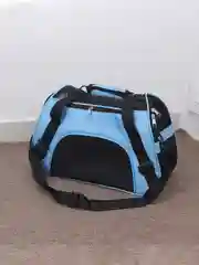 Розовый переноска для кошек и собак средних/для кота/от запаха животных/сумка/ 44х23х32см
